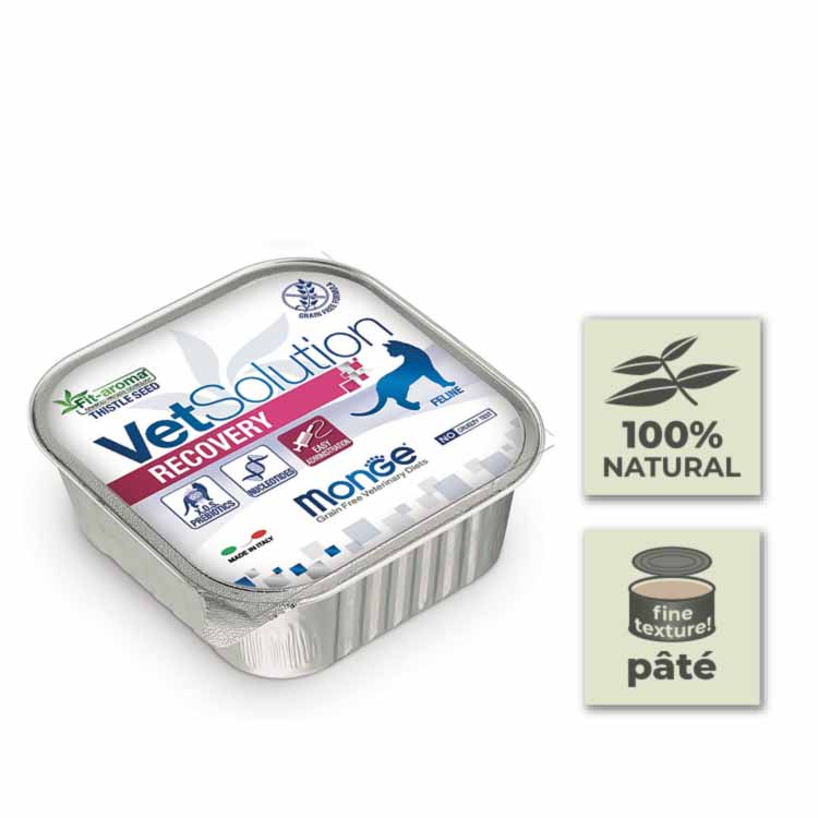 Pack Latas de paté para gato Monge Vet Solution - Recovery - 100gr (24u)