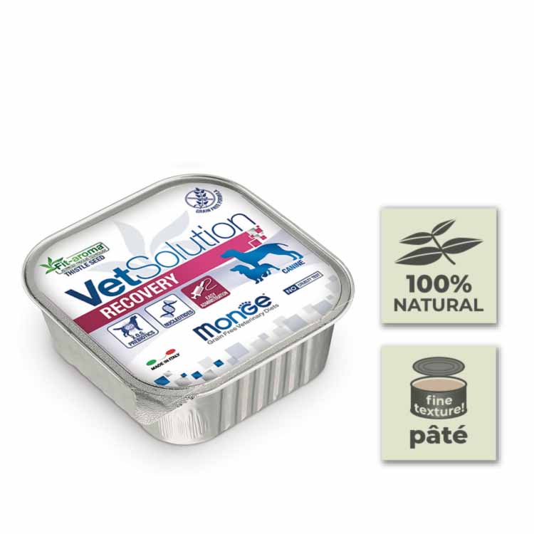 Pack Latas de paté para perro Monge Vetsolution - Recovery - 150gr (24u)