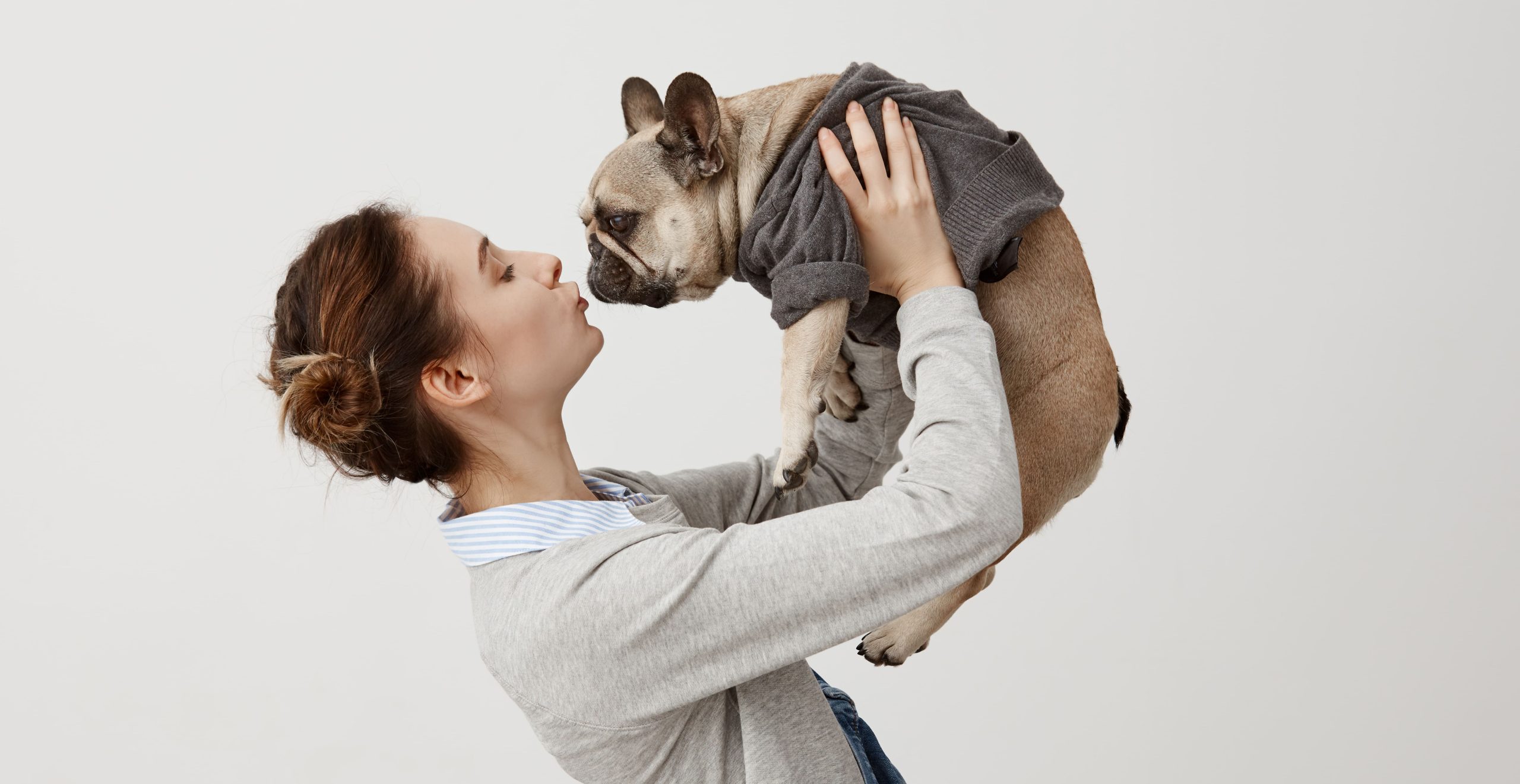 Como-mantener-un-peso-saludable-en-perros-y-gatos