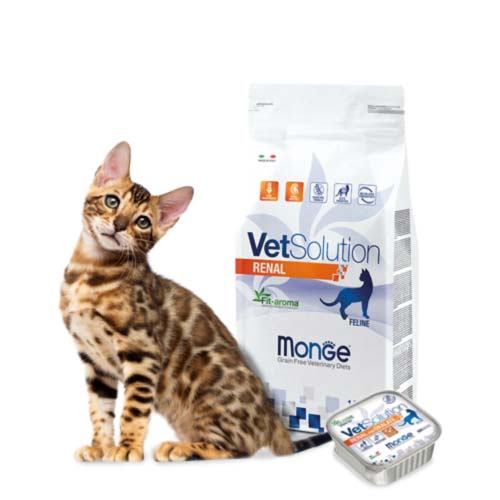 comida-para-gato-vetsolution