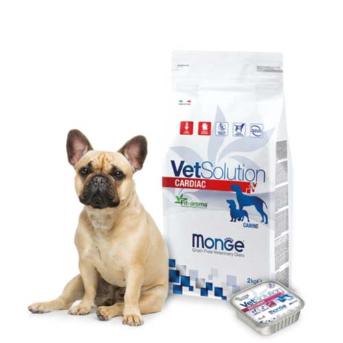 comida-para-perro-vetsolution