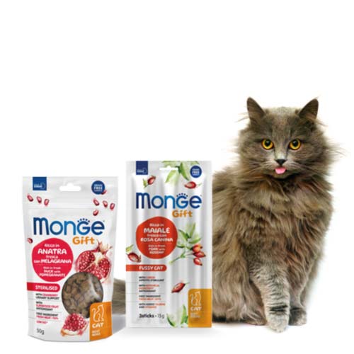 sancks-para-gato-monge-gift