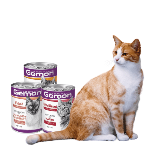 Gemon Comida Húmeda para Gatos-Selector