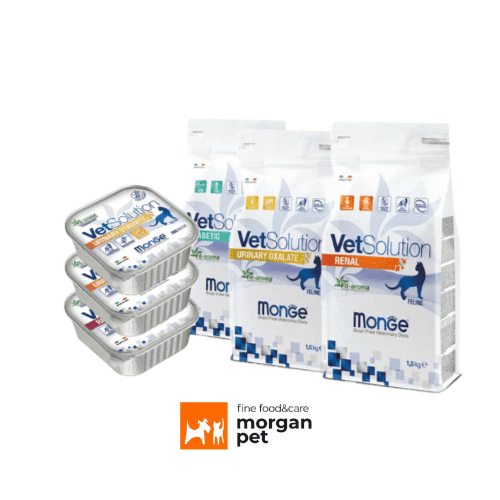 Monge-Vet-Solution-Dietas-Veterinarias-Natural-para-Gatos_