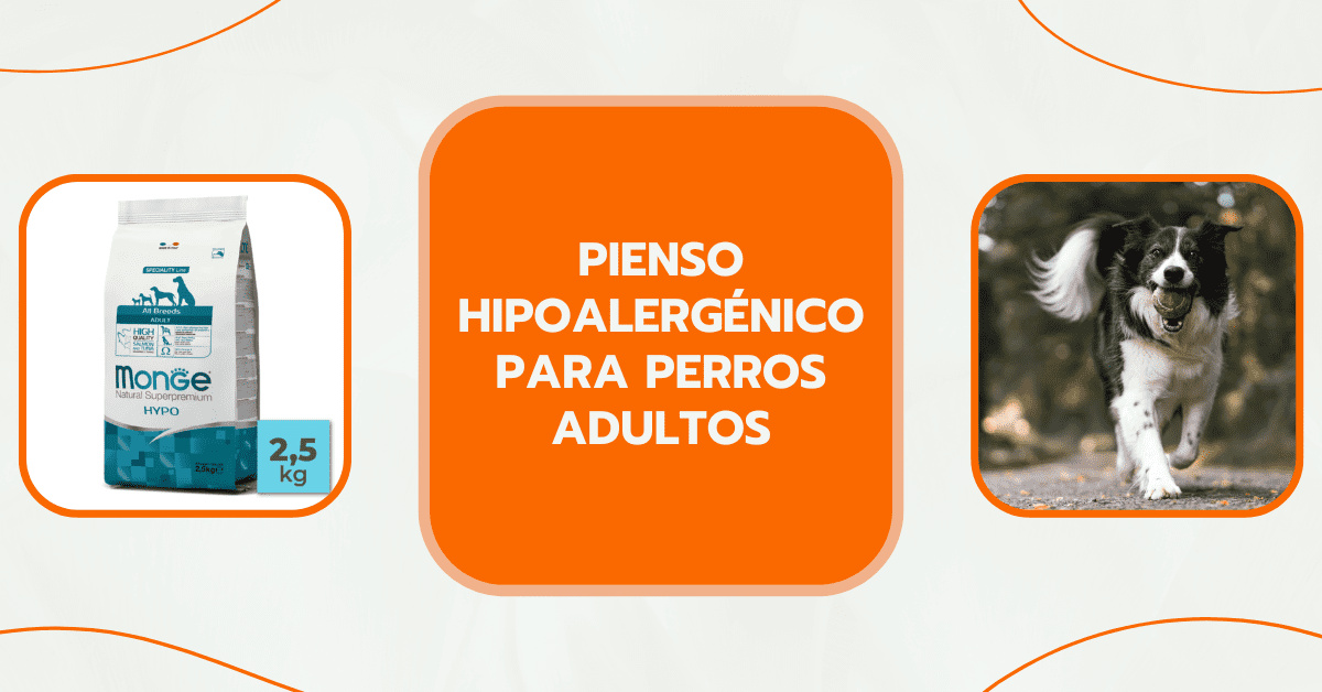 Pienso hipoalergénico para perros adultos